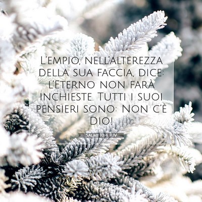 Picture 07 - Salmi 10:4 RIV - L’empio, nell’alterezza della sua faccia, - Bible Verse Picture