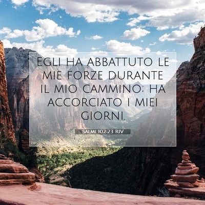 Picture 07 - Salmi 102:23 RIV - Egli ha abbattuto le mie forze durante il mio - Bible Verse Picture