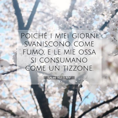 Picture 07 - Salmi 102:3 RIV - Poiché i miei giorni svaniscono come fumo, e le - Bible Verse Picture