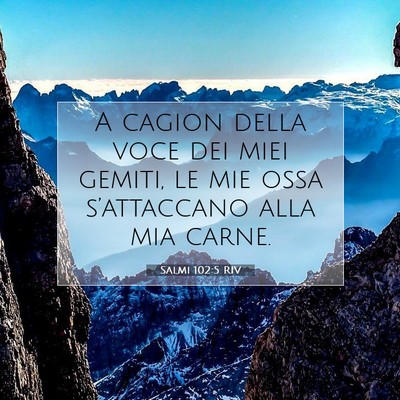 Picture 07 - Salmi 102:5 RIV - A cagion della voce dei miei gemiti, le mie ossa - Bible Verse Picture