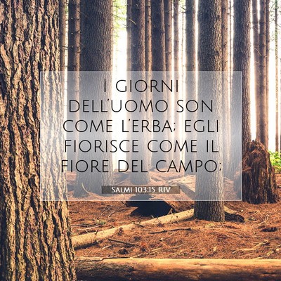 Picture 07 - Salmi 103:15 RIV - I giorni dell’uomo son come l’erba; egli - Bible Verse Picture