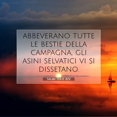 Picture 07 - Salmi 104:11 RIV - abbeverano tutte le bestie della campagna, gli - Bible Verse Picture