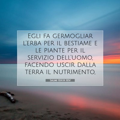Picture 07 - Salmi 104:14 RIV - Egli fa germogliar l’erba per il bestiame e le - Bible Verse Picture