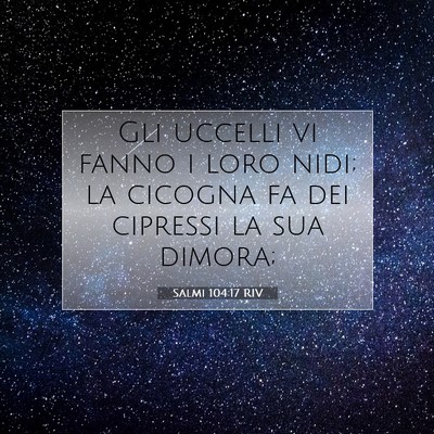 Picture 07 - Salmi 104:17 RIV - Gli uccelli vi fanno i loro nidi; la cicogna fa - Bible Verse Picture