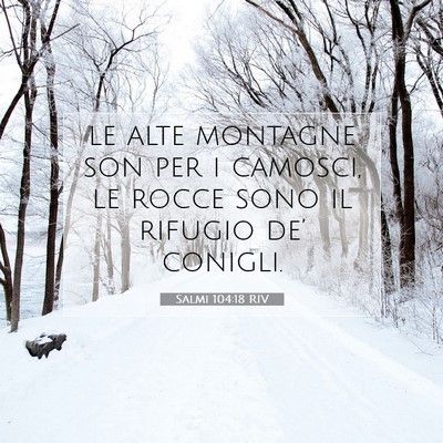 Picture 07 - Salmi 104:18 RIV - le alte montagne son per i camosci, le rocce sono - Bible Verse Picture