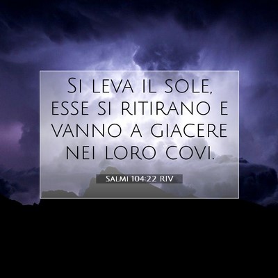 Picture 07 - Salmi 104:22 RIV - Si leva il sole, esse si ritirano e vanno a - Bible Verse Picture