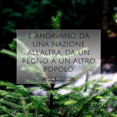 Picture 07 - Salmi 105:13 RIV - e andavano da una nazione all’altra, da un - Bible Verse Picture