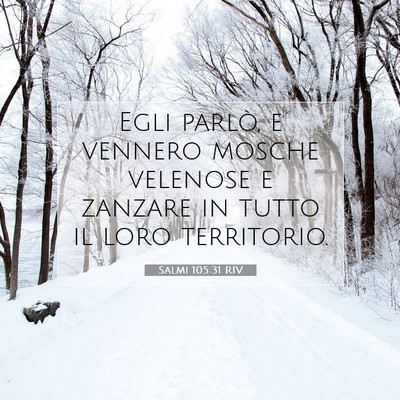 Picture 07 - Salmi 105:31 RIV - Egli parlò, e vennero mosche velenose e zanzare - Bible Verse Picture