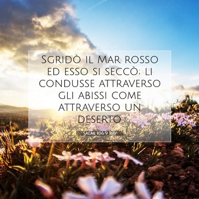 Picture 07 - Salmi 106:9 RIV - Sgridò il Mar rosso ed esso si seccò; li - Bible Verse Picture