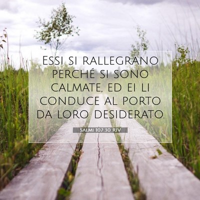 Picture 07 - Salmi 107:30 RIV - Essi si rallegrano perché si sono calmate, ed ei - Bible Verse Picture