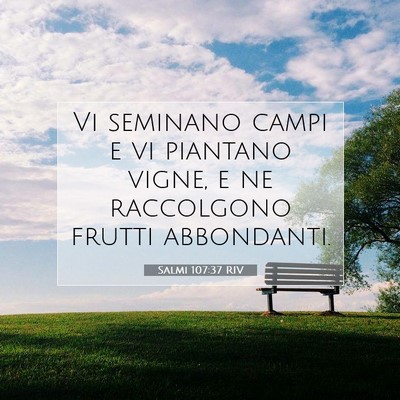 Picture 07 - Salmi 107:37 RIV - Vi seminano campi e vi piantano vigne, e ne - Bible Verse Picture