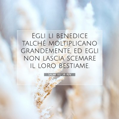 Picture 07 - Salmi 107:38 RIV - Egli li benedice talché moltiplicano - Bible Verse Picture