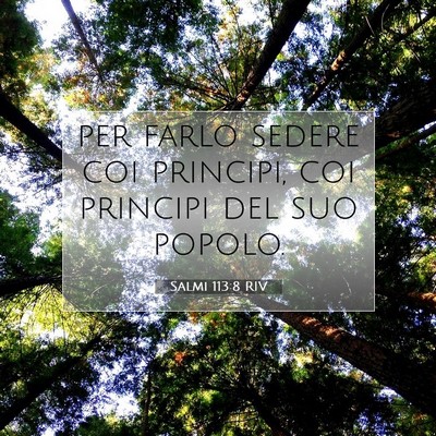 Picture 07 - Salmi 113:8 RIV - per farlo sedere coi principi, coi principi del - Bible Verse Picture