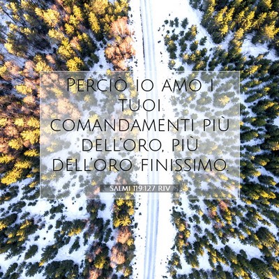 Picture 07 - Salmi 119:127 RIV - Perciò io amo i tuoi comandamenti più - Bible Verse Picture