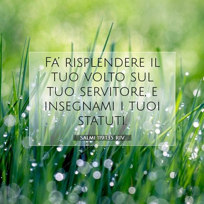 Picture 07 - Salmi 119:135 RIV - Fa’ risplendere il tuo volto sul tuo servitore, - Bible Verse Picture