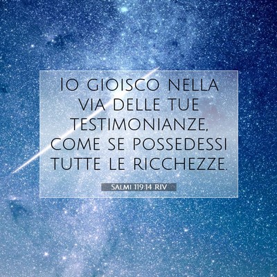 Picture 07 - Salmi 119:14 RIV - Io gioisco nella via delle tue testimonianze, - Bible Verse Picture