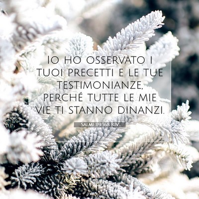 Picture 07 - Salmi 119:168 RIV - Io ho osservato i tuoi precetti e le tue - Bible Verse Picture