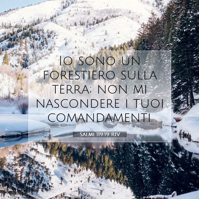 Picture 07 - Salmi 119:19 RIV - Io sono un forestiero sulla terra; non mi - Bible Verse Picture