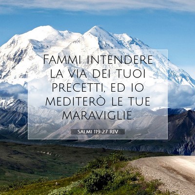 Picture 07 - Salmi 119:27 RIV - Fammi intendere la via dei tuoi precetti, ed io - Bible Verse Picture