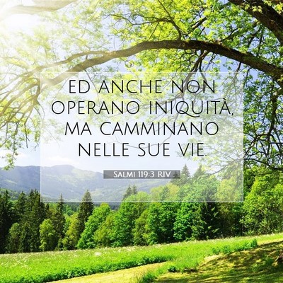 Picture 07 - Salmi 119:3 RIV - ed anche non operano iniquità, ma camminano - Bible Verse Picture