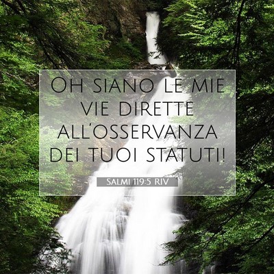 Picture 07 - Salmi 119:5 RIV - Oh siano le mie vie dirette all’osservanza dei - Bible Verse Picture