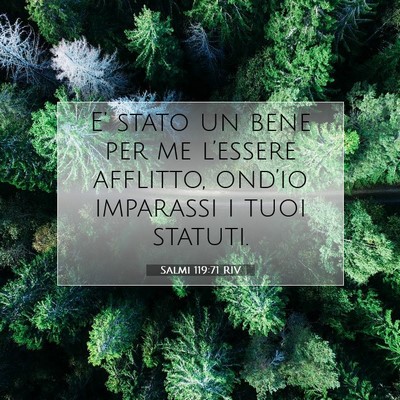 Picture 07 - Salmi 119:71 RIV - E’ stato un bene per me l’essere afflitto, - Bible Verse Picture