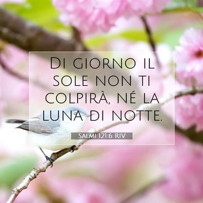 Picture 07 - Salmi 121:6 RIV - Di giorno il sole non ti colpirà, né la luna di - Bible Verse Picture