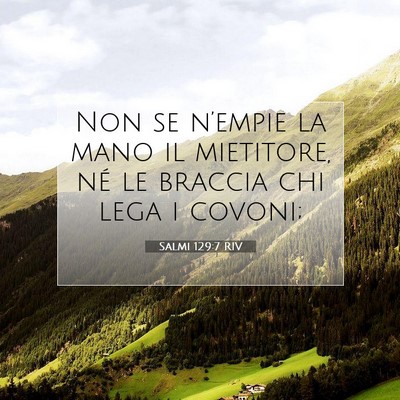 Picture 07 - Salmi 129:7 RIV - Non se n’empie la mano il mietitore, né le - Bible Verse Picture