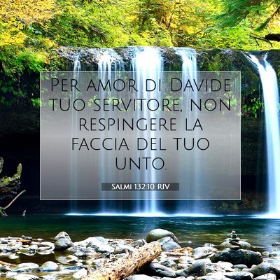 Picture 07 - Salmi 132:10 RIV - Per amor di Davide tuo servitore, non respingere - Bible Verse Picture