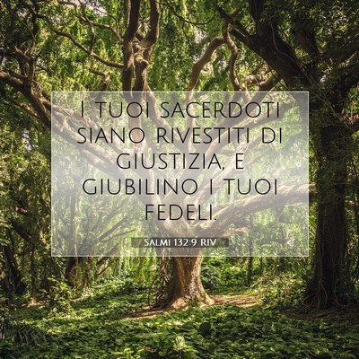 Picture 07 - Salmi 132:9 RIV - I tuoi sacerdoti siano rivestiti di giustizia, e - Bible Verse Picture