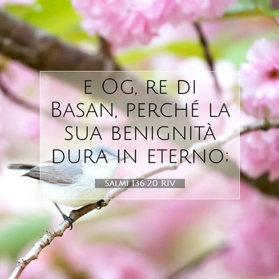 Picture 07 - Salmi 136:20 RIV - e Og, re di Basan, perché la sua benignità dura - Bible Verse Picture