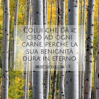 Picture 07 - Salmi 136:25 RIV - Colui che dà il cibo ad ogni carne, perché la - Bible Verse Picture