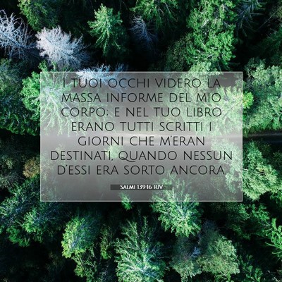 Picture 07 - Salmi 139:16 RIV - I tuoi occhi videro la massa informe del mio - Bible Verse Picture