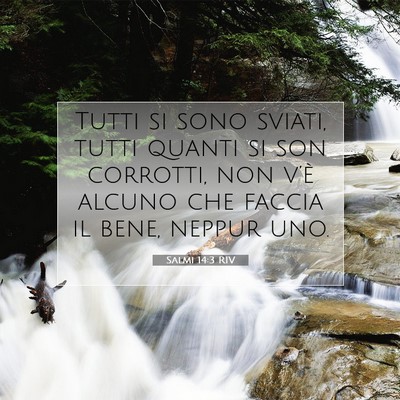 Picture 07 - Salmi 14:3 RIV - Tutti si sono sviati, tutti quanti si son - Bible Verse Picture