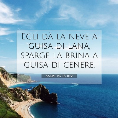 Picture 07 - Salmi 147:16 RIV - Egli dà la neve a guisa di lana, sparge la brina - Bible Verse Picture