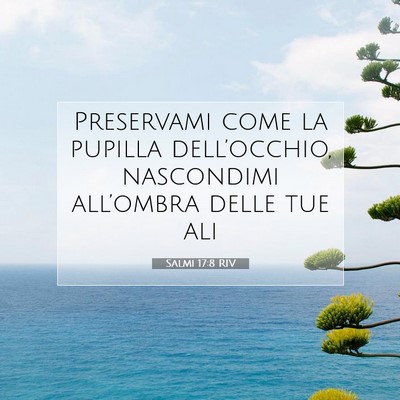 Picture 07 - Salmi 17:8 RIV - Preservami come la pupilla dell’occhio, - Bible Verse Picture
