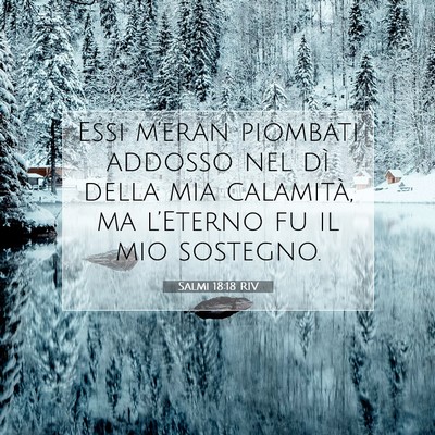 Picture 07 - Salmi 18:18 RIV - Essi m’eran piombati addosso nel dì della mia - Bible Verse Picture