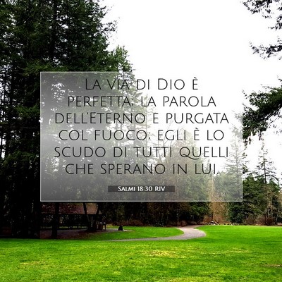 Picture 07 - Salmi 18:30 RIV - La via di Dio è perfetta; la parola - Bible Verse Picture
