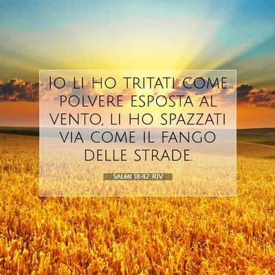 Picture 07 - Salmi 18:42 RIV - Io li ho tritati come polvere esposta al vento, - Bible Verse Picture