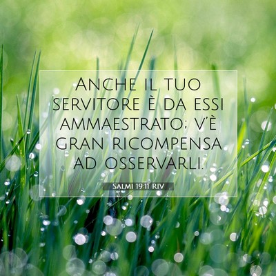 Picture 07 - Salmi 19:11 RIV - Anche il tuo servitore è da essi ammaestrato; - Bible Verse Picture