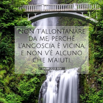 Picture 07 - Salmi 22:11 RIV - Non t’allontanare da me, perché l’angoscia - Bible Verse Picture