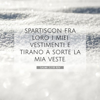 Picture 07 - Salmi 22:18 RIV - spartiscon fra loro i miei vestimenti e tirano a - Bible Verse Picture