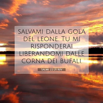 Picture 07 - Salmi 22:21 RIV - salvami dalla gola del leone. Tu mi risponderai - Bible Verse Picture