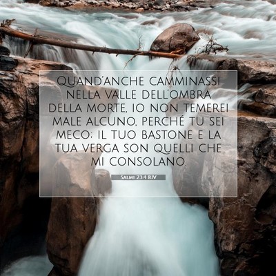 Picture 07 - Salmi 23:4 RIV - Quand’anche camminassi nella valle dell’ombra - Bible Verse Picture