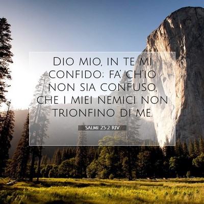 Picture 07 - Salmi 25:2 RIV - Dio mio, in te mi confido; fa’ ch’io non sia - Bible Verse Picture