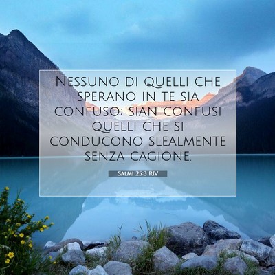 Picture 07 - Salmi 25:3 RIV - Nessuno di quelli che sperano in te sia confuso; - Bible Verse Picture