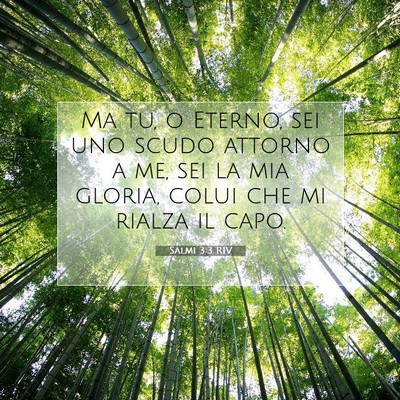 Picture 07 - Salmi 3:3 RIV - Ma tu, o Eterno, sei uno scudo attorno a me, sei - Bible Verse Picture