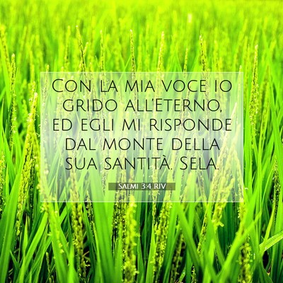 Picture 07 - Salmi 3:4 RIV - Con la mia voce io grido all’Eterno, ed egli mi - Bible Verse Picture