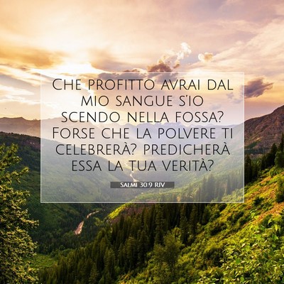 Picture 07 - Salmi 30:9 RIV - Che profitto avrai dal mio sangue s’io scendo - Bible Verse Picture