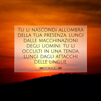 Picture 07 - Salmi 31:20 RIV - Tu li nascondi all’ombra della tua presenza, - Bible Verse Picture